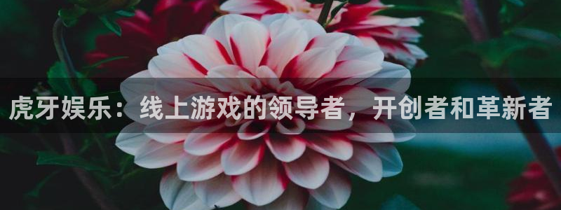 upload/20250701114914.jpg