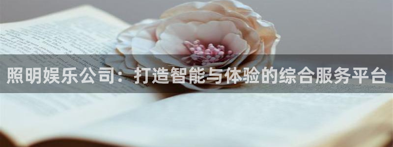 超凡国际：照明娱乐公司：打造智能与体验的综合服务平台