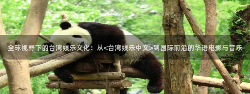 超凡国际下载app：全球视野下的台湾娱乐文化：从<台湾娱乐中文>到国际前沿的华语电影与音乐
